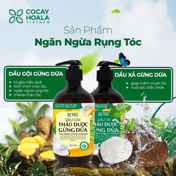 Bí quyết giảm rụng tóc đơn giản ngay trong bếp nhà bạn - Ảnh 3.
