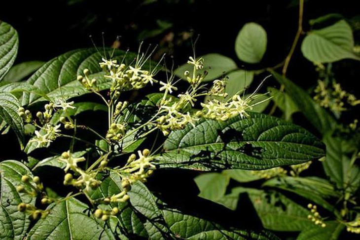 photo-1639407098054