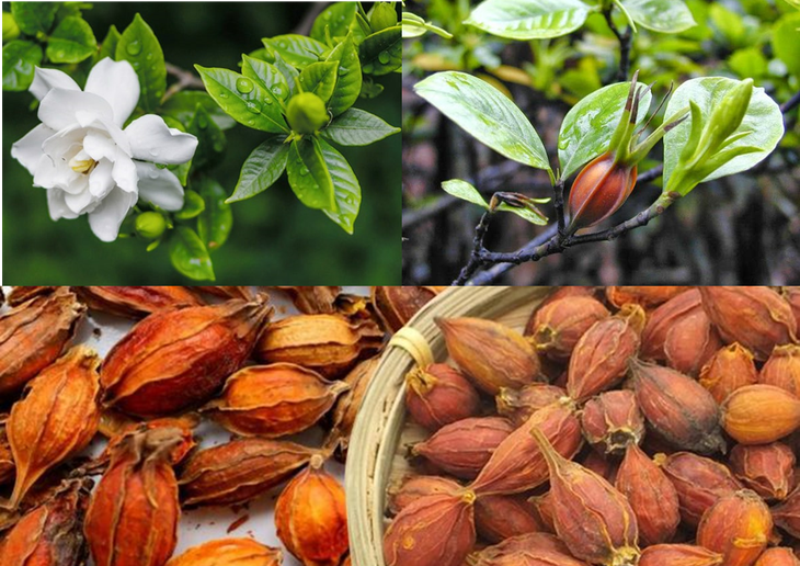 Dấu hiệu bệnh thận điển hình và cách phòng ngừa - Ảnh 2.