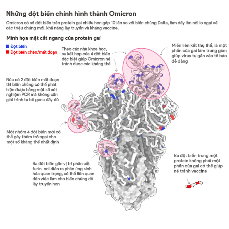 Biến thể Omicron gây nguy cơ cao trên toàn cầu, Anh ghi nhận ca tử vong đầu tiên vì 'siêu biến thể'