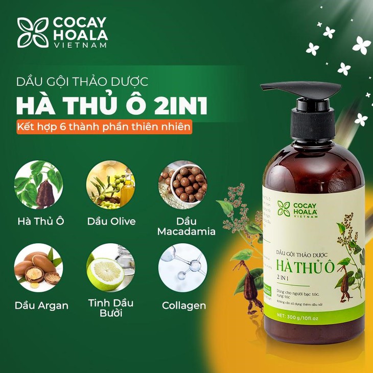 Tóc bạc sớm ở người trẻ, hệ lụy từ thói quen thường ngày ít ai ngờ - Ảnh 10. Tóc bạc sớm ở người trẻ, hệ lụy từ thói quen thường ngày ít ai ngờ - Ảnh 10.