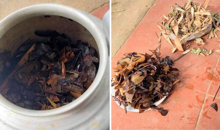 Viêm da uống thuốc nam, bé gái suy đa tạng nguy kịch - Ảnh 3.