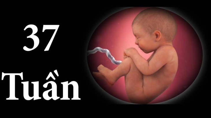 Quan hệ tình dục khi mang thai có thể gây chuyển dạ không? - Ảnh 2.