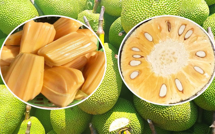 Mùa mít Thái vào mùa chín rộ, giá giảm sâu - 1 kg chỉ bằng một ổ bánh mì - Ảnh 1.
