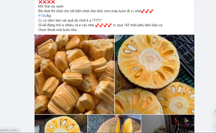 Mùa mít thái chín rộ giá một cân chỉ bằng một ổ bánh mì  - Ảnh 2.