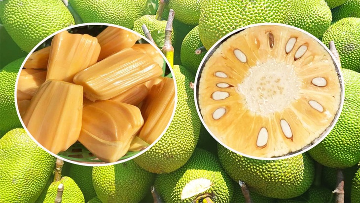Mùa mít thái chín rộ giá một cân chỉ bằng một ổ bánh mì  - Ảnh 1.