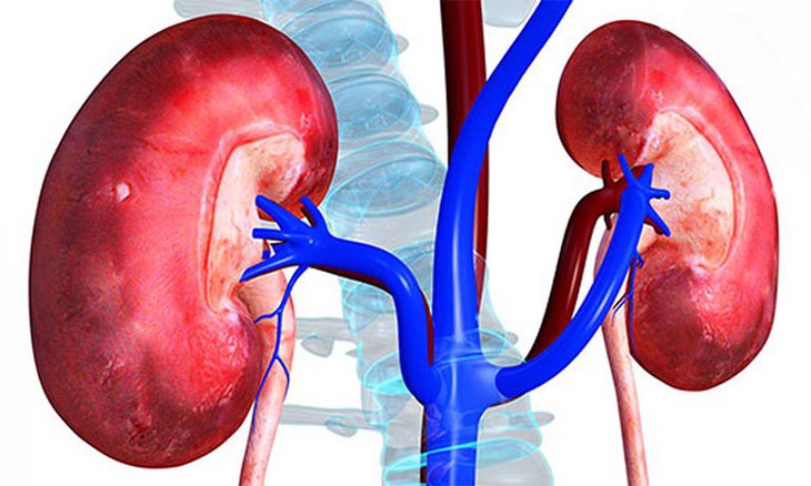 Đau mỏi hông lưng, tiểu buốt, tiểu rắt… cảnh giác với thận ứ nước - Ảnh 2.