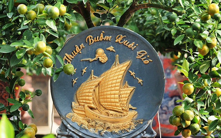 Độc đáo quất bonsai "Thuận buồm xuôi gió" trưng Tết 2022