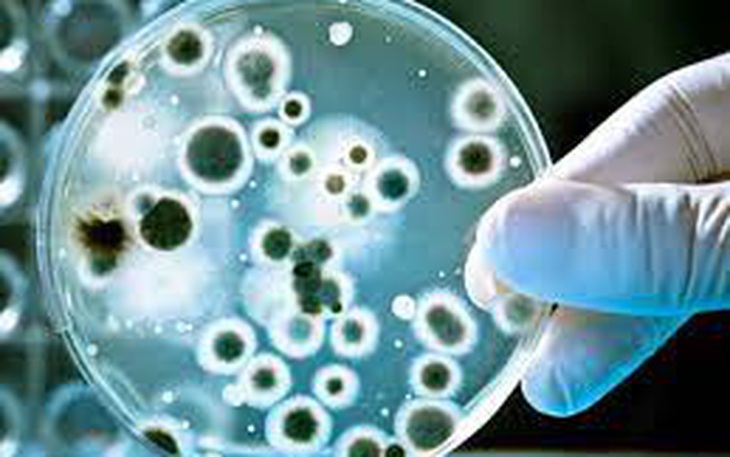 Kháng sinh điều chỉnh gene có thể chống lại sự kháng thuốc