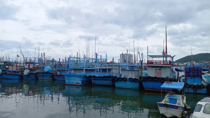 Khắc phục ảnh hưởng của bão Rai - Ảnh 6.