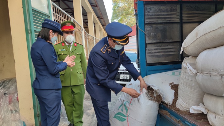 Lực lượng chức năng kiểm tra số dược liệu  bị thu giữ