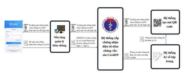 Quy trình 3 bước cấp hộ chiếu vaccine của Việt Nam  - Ảnh 2.