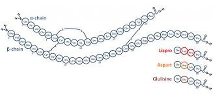 Ứng dụng công nghệ gene di truyền trong Y khoa - Ảnh 4.