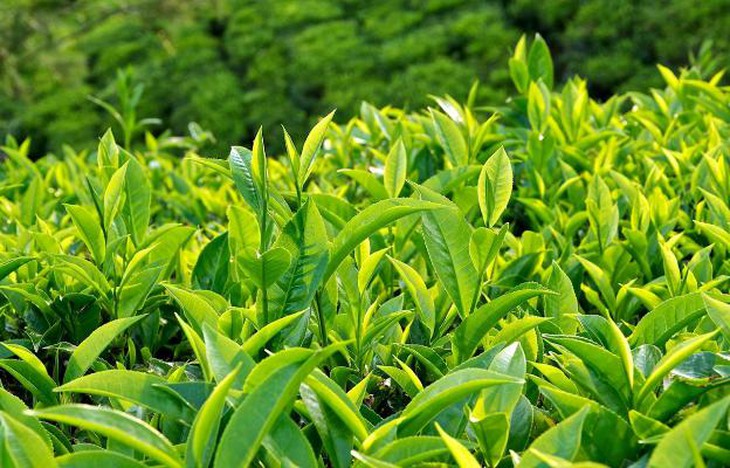 photo-1640156148046
