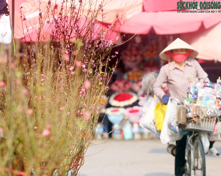 Đào Nhật Tân xuống phố đón Tết sớm, giá chỉ 50.000 đồng/cành - Ảnh 3.