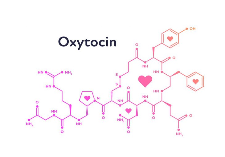 Cách xác định các cơn co thắt chuyển dạ - Ảnh 1.