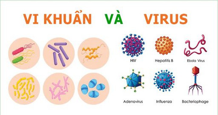 Vì sao bão cytokine có thể gây chết người trong COVID-19? - Ảnh 1. Vì sao bão cytokine có thể gây chết người trong COVID-19? - Ảnh 1.