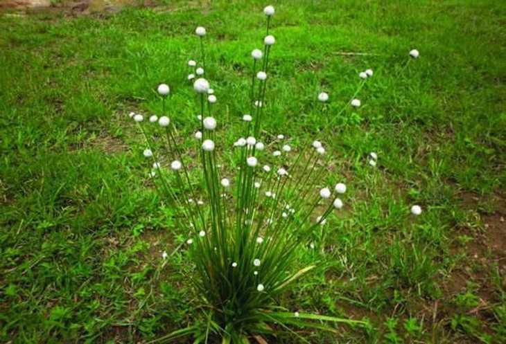 photo-1640528202415