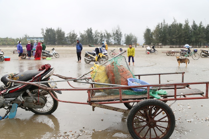 Ra biển mùa gió chướng, ngư dân Hà Tĩnh hứng "mưa sò huyết" - Ảnh 4.