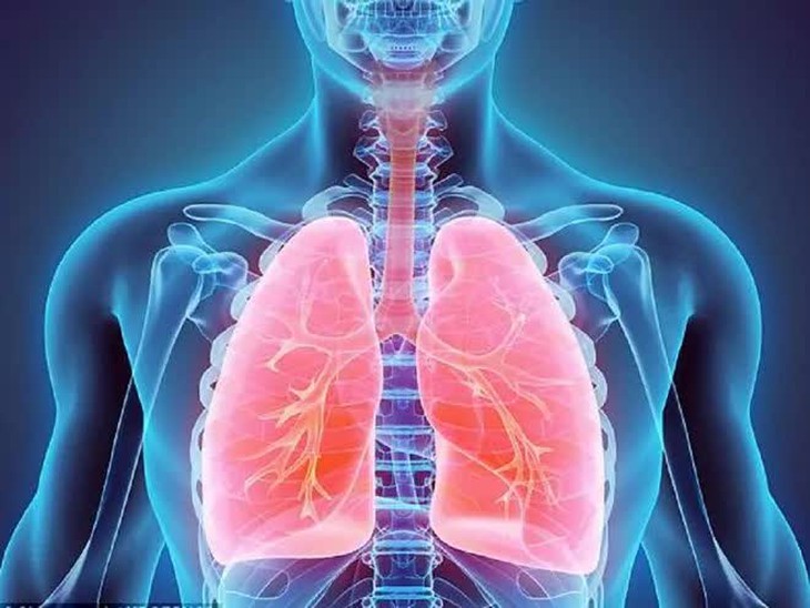 Chăm sóc phổi đúng cách để phòng bệnh COVID-19 - Ảnh 1. Chăm sóc phổi đúng cách để phòng bệnh COVID-19 - Ảnh 1.