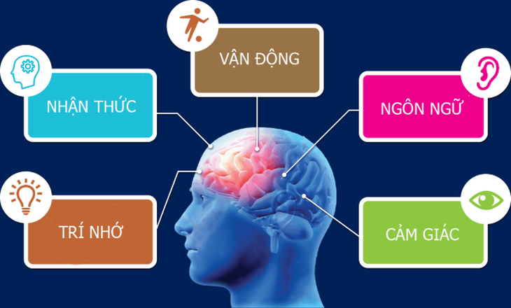 Sang chấn tâm lý do bạo hành ở trẻ - dấu hiệu nhận biết và hệ lụy - Ảnh 4.