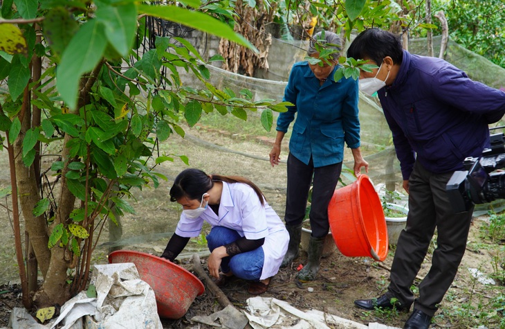 Quảng Bình lo ngại bùng phát sốt xuất huyết giữa dịch COVID-19 - Ảnh 2.