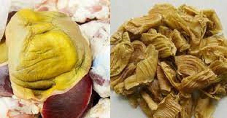 Bài thuốc phòng và trị sỏi đường tiết niệu - Ảnh 2. Bài thuốc phòng và trị sỏi đường tiết niệu - Ảnh 2.