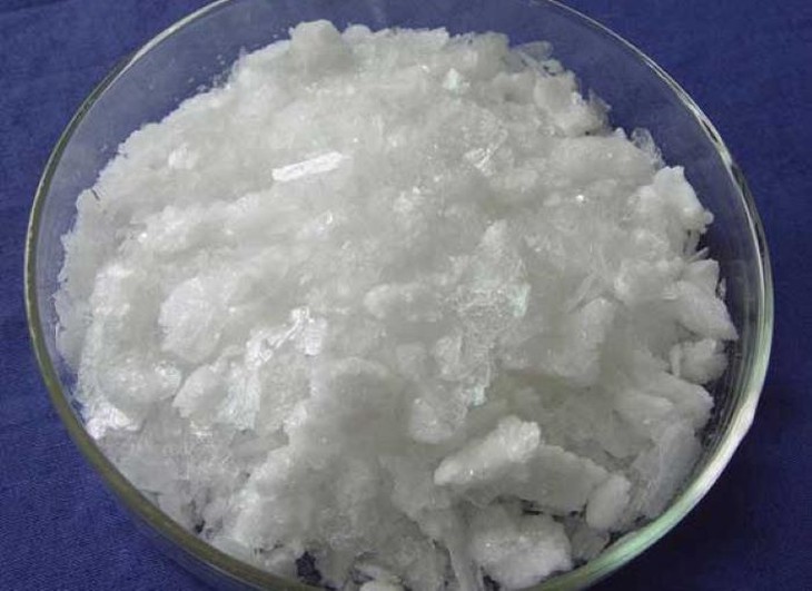 Cây đại bi chữa ho, cảm sốt - Ảnh 3.