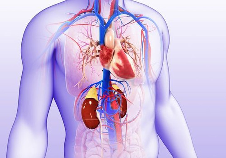 Sotagliflozin có thể giảm nguy cơ tim mạch ở người bệnh đái tháo đường - Ảnh 2. Sotagliflozin có thể giảm nguy cơ tim mạch ở người bệnh đái tháo đường - Ảnh 2.