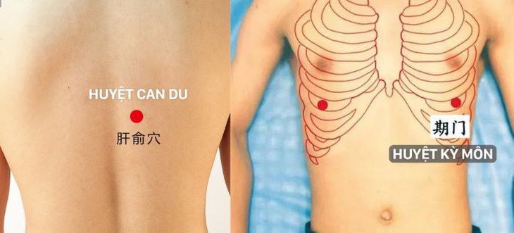 Day ấn huyệt hỗ trợ trị viêm túi mật - Ảnh 2. Day ấn huyệt hỗ trợ trị viêm túi mật - Ảnh 2.