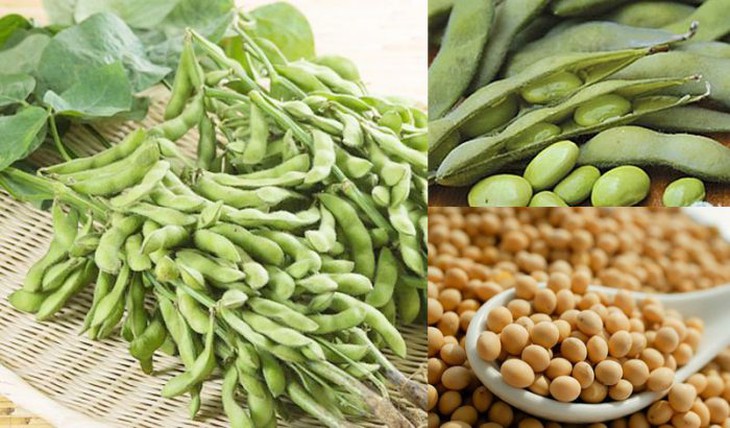 Cây họ đậu vừa nhiều dinh dưỡng vừa là thuốc trị bệnh - Ảnh 1.