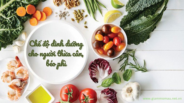 Dinh dưỡng khoa học cho người thừa cân, béo phì - Ảnh 2. Dinh dưỡng khoa học cho người thừa cân, béo phì - Ảnh 2.