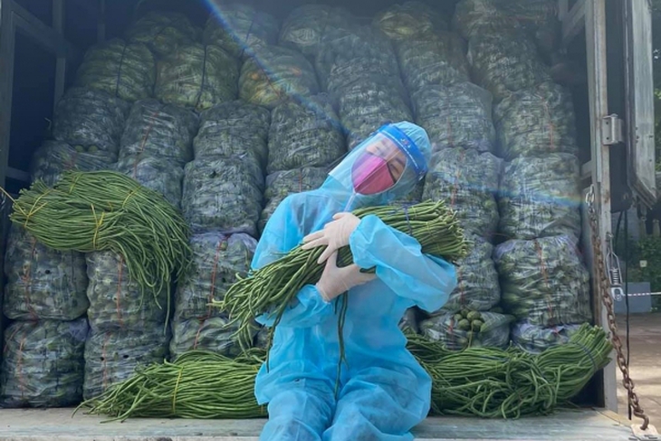 Xúc động hình ảnh Hoa hậu Khánh Vân ấp bó rau trên ‘Chuyến xe thực phẩm 0 đồng’