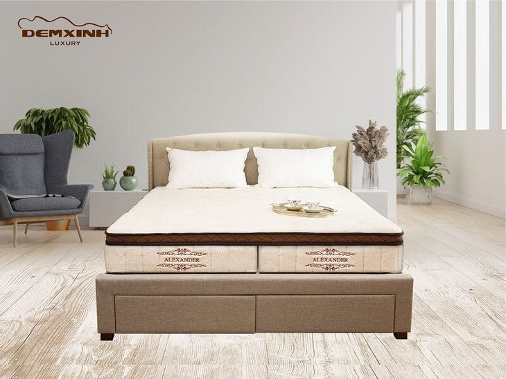 Top 5 thương hiệu đệm bán chạy - Ảnh 2.