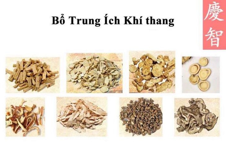 Sa tử cung và cách hỗ trợ phục hồi bằng Đông y - Ảnh 2.