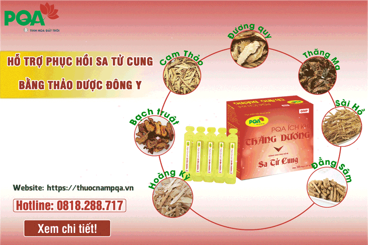 Sa tử cung và cách hỗ trợ phục hồi bằng Đông y - Ảnh 3.