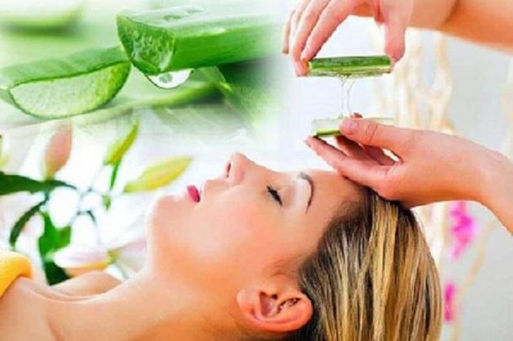 Lô hội làm đẹp da - Ảnh 3. Lô hội làm đẹp da - Ảnh 3.
