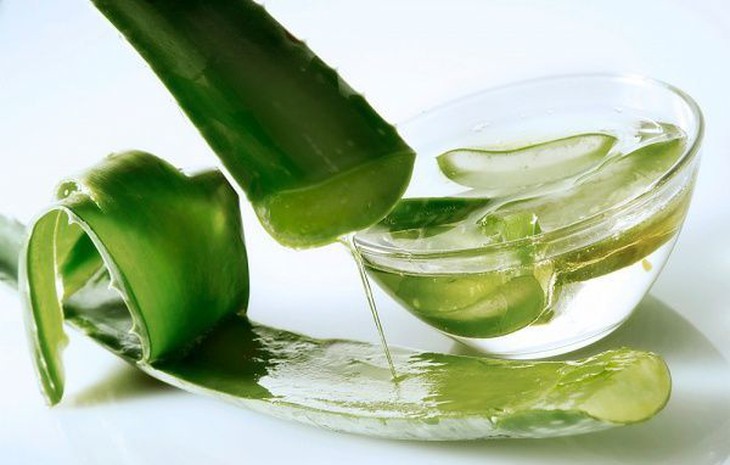 Lô hội làm đẹp da - Ảnh 2. Lô hội làm đẹp da - Ảnh 2.