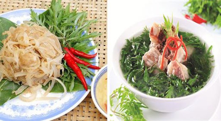 Đinh lăng - vị thuốc có nhiều công năng - Ảnh 4.
