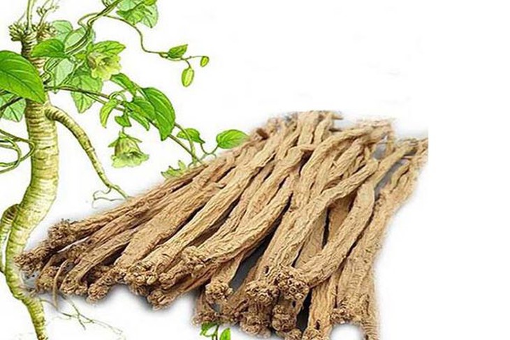 Điều trị hội chứng ruột kích thích bằng đông y - Ảnh 3.