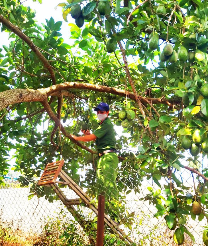 Thư Sài Gòn (số 13): Sài Gòn, những người... mua việc - Ảnh 1. Thư Sài Gòn (số 13): Sài Gòn, những người... mua việc - Ảnh 1.