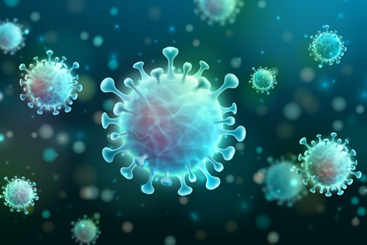 Kháng thể của bệnh nhân sau nhiễm COVID-19 có thể giúp tìm ra vaccine mới - Ảnh 2. Kháng thể của bệnh nhân sau nhiễm COVID-19 có thể giúp tìm ra vaccine mới - Ảnh 2.