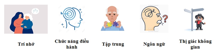 Suy giảm nhận thức nhẹ là gì? - Ảnh 4. Suy giảm nhận thức nhẹ là gì? - Ảnh 4.
