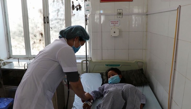 Cảnh báo quả rừng có tên gọi mỹ miều chứa độc tố gây chết người - Ảnh 2. Cảnh báo quả rừng có tên gọi mỹ miều chứa độc tố gây chết người - Ảnh 2.