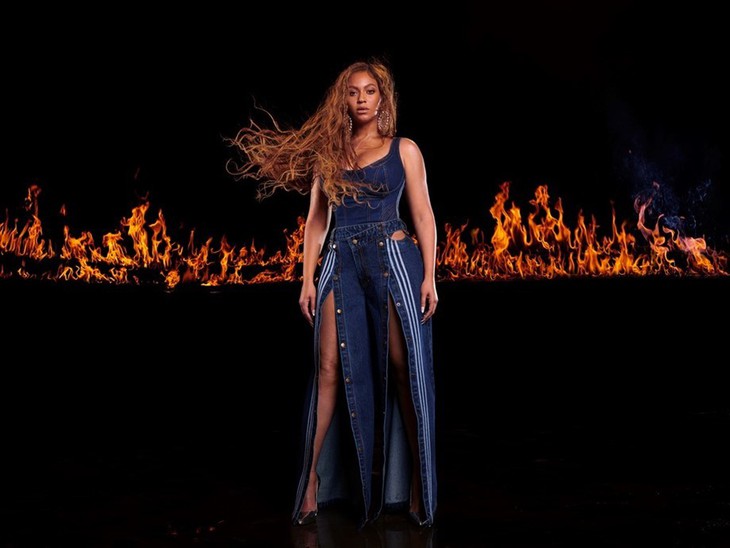 Thế giới showbiz: Beyonce nuôi ong, trồng cây gai dầu, thời giãn cách xã hội - Ảnh 5.