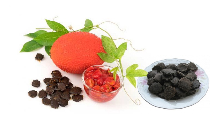 Thuốc quý từ quả gấc