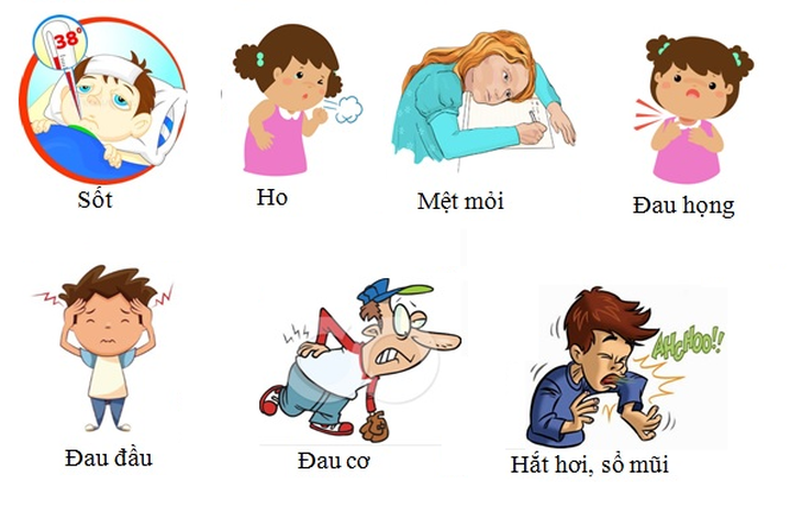 Kinh giới làm giảm các triệu chứng sau tiêm phòng COVID-19 - Ảnh 3. Kinh giới làm giảm các triệu chứng sau tiêm phòng COVID-19 - Ảnh 3.