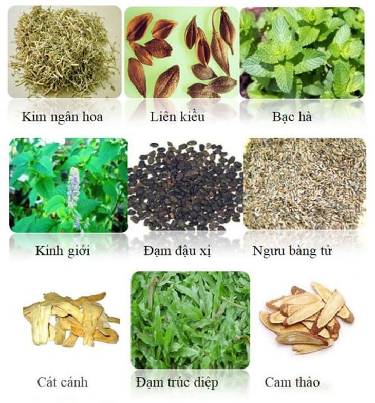 Đậu đen nâng cao sức đề kháng, hỗ trợ điều trị COVID-19 - Ảnh 3.