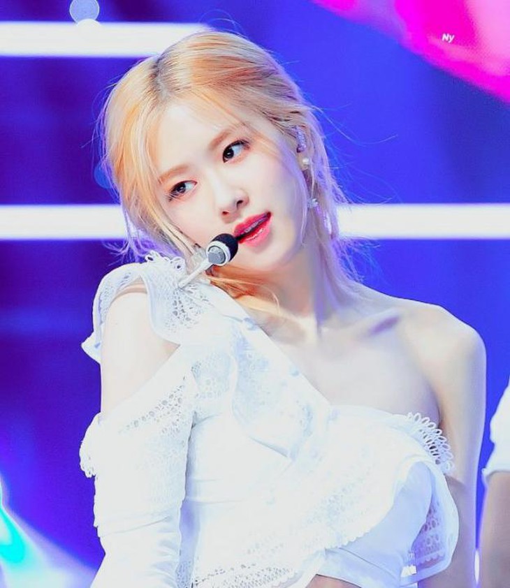Rose 3