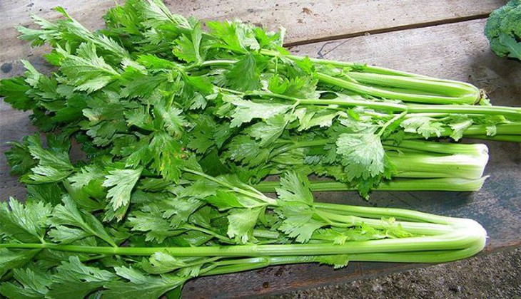 Món ăn bài thuốc an thần dễ làm từ đại táo - Ảnh 4.